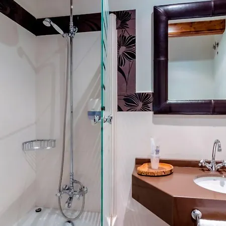 Hotel Flor De Neu 2*