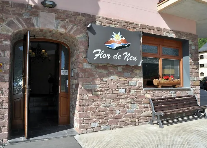 Flor De Neu