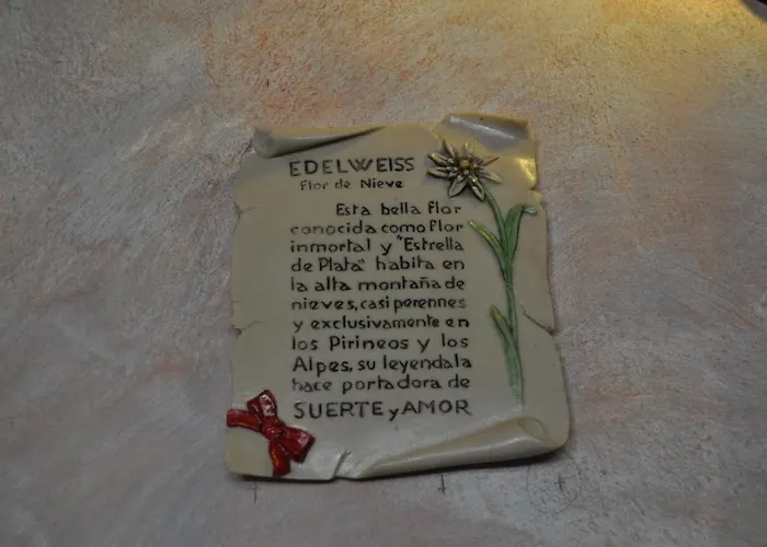 Flor De Neu Ξενοδοχείο 2*