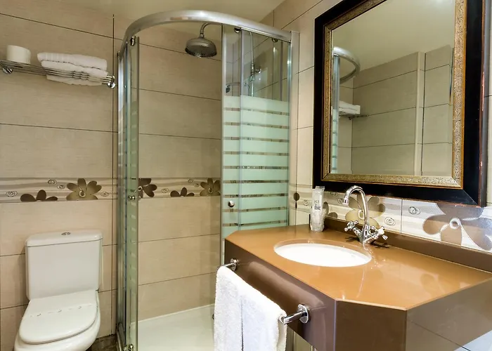 Hotel Flor De Neu