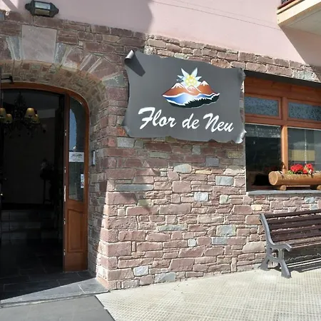 Flor De Neu